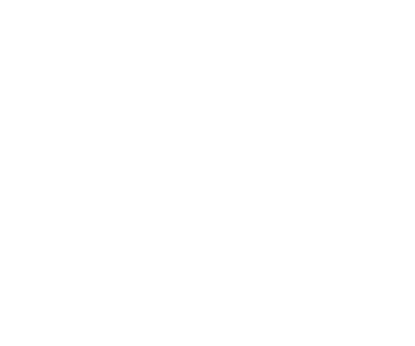 Mile High Precise Renovations Logo